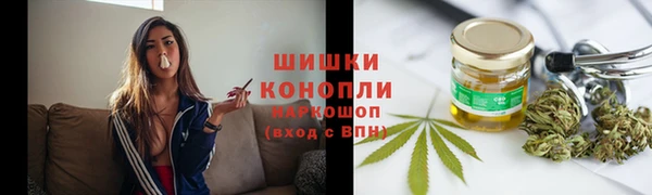 молекула духа Верхний Тагил