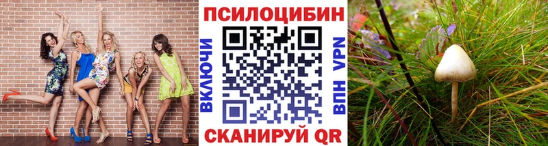 Псилоцибиновые грибы Magic Shrooms  Мелеуз 